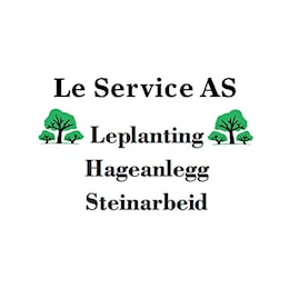 le service as